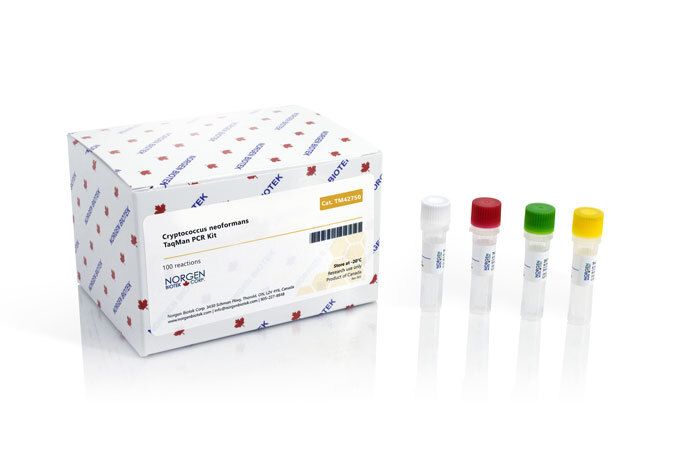 Cryptococcus neoformans Detection Kit (100 reactions)